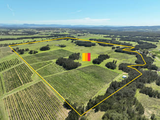 Rural / Farming commercial property sold at 221 Deaseys Road Pokolbin NSW 2320 Rural / Farming commercial property sold at 221 Deaseys Road Pokolbin NSW 2320