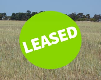 Rural / Farming commercial property sold at Allotment 1 Cnr Bell Road and Carcuma Road Tintinara SA 5266 Rural / Farming commercial property sold at Allotment 1 Cnr Bell Road and Carcuma Road Tintinara SA 5266