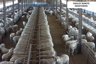 Rural / Farming commercial property sold at 1078 Mid Western Highway Cowra NSW 2794 Rural / Farming commercial property sold at 1078 Mid Western Highway Cowra NSW 2794