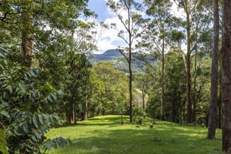 Rural / Farming commercial property sold at 60 Hillandale Road Broughton Vale NSW 2535