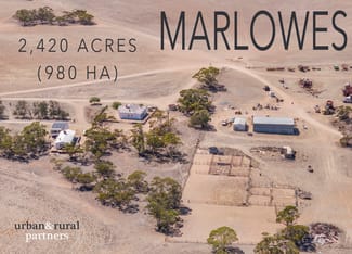 Rural / Farming commercial property for sale at 1225a McEvoy Road Chandada SA 5680 Rural / Farming commercial property for sale at 1225a McEvoy Road Chandada SA 5680