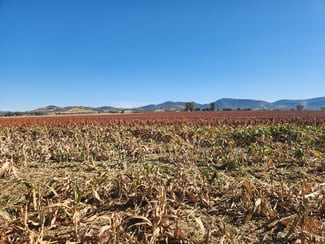 Rural / Farming commercial property sold at . Duri Winton Rd Winton NSW 2344 Rural / Farming commercial property sold at . Duri Winton Rd Winton NSW 2344