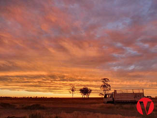 Rural / Farming commercial property sold at 334 Bassett Lane Roma QLD 4455 Rural / Farming commercial property sold at 334 Bassett Lane Roma QLD 4455
