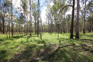 Rural / Farming commercial property sold at Allies Creek Road Monogorilby QLD 4626