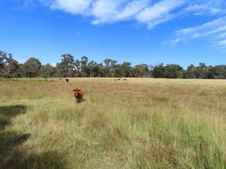 Rural / Farming commercial property sold at 719 Mount Tully Road Mount Tully QLD 4380 Rural / Farming commercial property sold at 719 Mount Tully Road Mount Tully QLD 4380