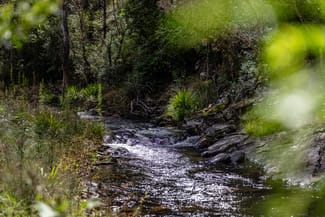 Rural / Farming commercial property sold at 'The Ruins' Cells Road Cells River NSW 2424