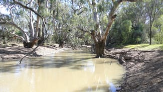 Rural / Farming commercial property for sale at . Gradgery Lane Warren NSW 2824 Rural / Farming commercial property for sale at . Gradgery Lane Warren NSW 2824