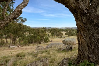 Rural / Farming commercial property sold at 1332 Carlwood Road O'connell NSW 2795 Rural / Farming commercial property sold at 1332 Carlwood Road O'connell NSW 2795