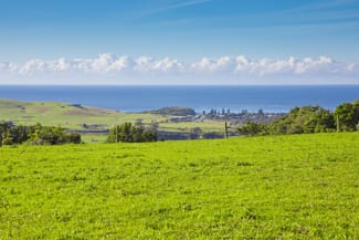 Rural / Farming commercial property sold at Lot 201 Rose Valley Road Rose Valley NSW 2534