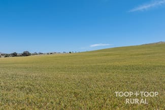 Rural / Farming commercial property sold at 131 Berry Road St Kitts SA 5356 Rural / Farming commercial property sold at 131 Berry Road St Kitts SA 5356
