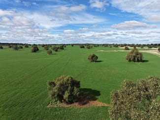 Rural / Farming commercial property for sale at "Roseleigh" Roseleigh Road Trundle NSW 2875 Rural / Farming commercial property for sale at "Roseleigh" Roseleigh Road Trundle NSW 2875