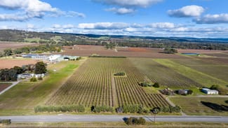 Rural / Farming commercial property sold at Lot 24 Hamilton Road Mclaren Flat SA 5171 Rural / Farming commercial property sold at Lot 24 Hamilton Road Mclaren Flat SA 5171