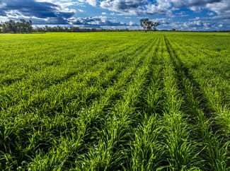 Rural / Farming commercial property sold at 'Trewilga' Coonamble NSW 2829