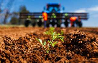 Rural / Farming commercial property for sale at Winlaton VIC 3585 Rural / Farming commercial property for sale at Winlaton VIC 3585