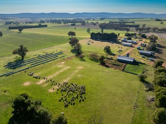 Rural / Farming commercial property for sale at 501 Mandagery Road Mandagery NSW 2870