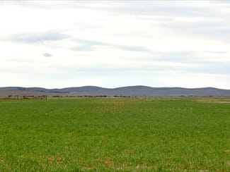 Rural / Farming commercial property sold at Hammond Road Amyton SA 5431 Rural / Farming commercial property sold at Hammond Road Amyton SA 5431