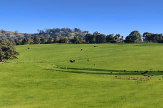 Rural / Farming commercial property sold at Hillgrove 1097 Keajura Road Ladysmith NSW 2652 Rural / Farming commercial property sold at Hillgrove 1097 Keajura Road Ladysmith NSW 2652