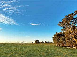 Rural / Farming commercial property sold at Lot 160 &/154 Scabben Flat Road Taralga NSW 2580
