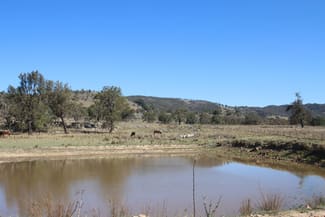 Rural / Farming commercial property sold at 203 Woodside Road Tenterfield NSW 2372 Rural / Farming commercial property sold at 203 Woodside Road Tenterfield NSW 2372