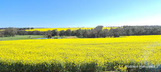 Rural / Farming commercial property sold at 1606 Wingebellup Road Frankland River WA 6396 Rural / Farming commercial property sold at 1606 Wingebellup Road Frankland River WA 6396