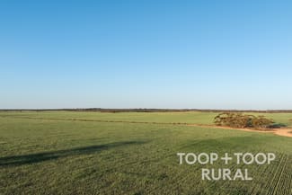 Rural / Farming commercial property for sale at 499/ Murbko Road Murbko SA 5320