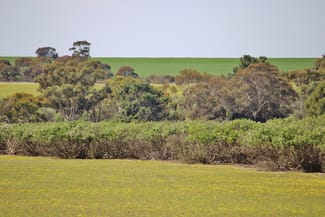 Rural / Farming commercial property sold at Lot 14 Kulin/Dudinin Road Dudinin WA 6363 Rural / Farming commercial property sold at Lot 14 Kulin/Dudinin Road Dudinin WA 6363