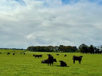 Rural / Farming commercial property sold at Princes Highway Weerite VIC 3260 Rural / Farming commercial property sold at Princes Highway Weerite VIC 3260