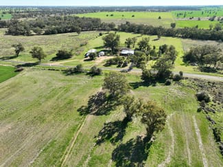 Rural / Farming commercial property sold at 'Sunshine' 52 Sunshine Street Collie NSW 2827 Rural / Farming commercial property sold at 'Sunshine' 52 Sunshine Street Collie NSW 2827