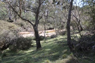 Rural / Farming commercial property sold at 8, 401 Glen Allen Road Glen Allen NSW 2631 Rural / Farming commercial property sold at 8, 401 Glen Allen Road Glen Allen NSW 2631