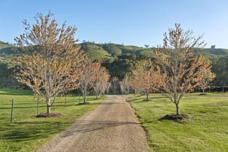 Rural / Farming commercial property sold at 1591 Mansfield-woods Point Road Piries VIC 3723 Rural / Farming commercial property sold at 1591 Mansfield-woods Point Road Piries VIC 3723