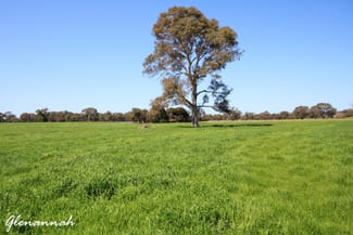 Rural / Farming commercial property sold at Naracoorte SA 5271 Rural / Farming commercial property sold at Naracoorte SA 5271