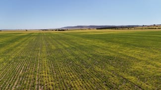 Rural / Farming commercial property sold at Allotment 78 Augusta Highway Crystal Brook SA 5523 Rural / Farming commercial property sold at Allotment 78 Augusta Highway Crystal Brook SA 5523