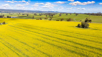 Rural / Farming commercial property for sale at 1791 Olympic Highway Culcairn NSW 2660 Rural / Farming commercial property for sale at 1791 Olympic Highway Culcairn NSW 2660