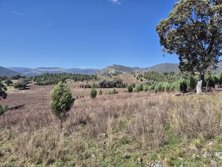 Rural / Farming commercial property for sale at 46 Worlds End Rd Yarrabin NSW 2850 Rural / Farming commercial property for sale at 46 Worlds End Rd Yarrabin NSW 2850