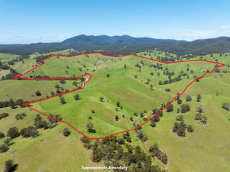 Rural / Farming commercial property sold at 244 Buchan Ensay Road Reedy Flat VIC 3895 Rural / Farming commercial property sold at 244 Buchan Ensay Road Reedy Flat VIC 3895