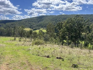 Rural / Farming commercial property sold at Lot 44 via Endless Creek Road, Chambigne Grafton NSW 2460 Rural / Farming commercial property sold at Lot 44 via Endless Creek Road, Chambigne Grafton NSW 2460