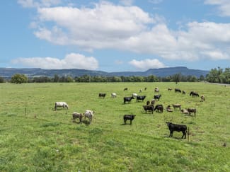 Rural / Farming commercial property for sale at 639E coolangatta road Berry NSW 2535 Rural / Farming commercial property for sale at 639E coolangatta road Berry NSW 2535