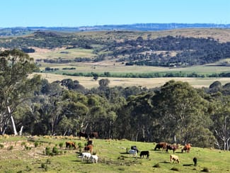 Rural / Farming commercial property sold at 1886 Gurrundah Road Goulburn NSW 2580 Rural / Farming commercial property sold at 1886 Gurrundah Road Goulburn NSW 2580
