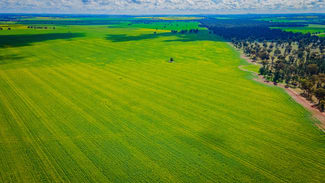 Rural / Farming commercial property sold at 'Snowies' Plemings Lane Coolamon NSW 2701