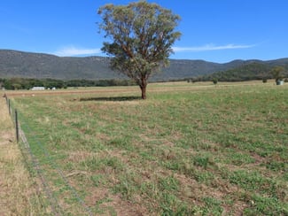Rural / Farming commercial property sold at "Glen Bovie" 272 Langens Lane Tamworth NSW 2340