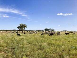 Rural / Farming commercial property for sale at 318 Barringun Road Barringun QLD 4490 Rural / Farming commercial property for sale at 318 Barringun Road Barringun QLD 4490