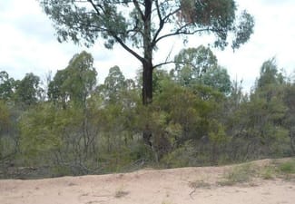 Rural / Farming commercial property for sale at Lot 167 Thegathlyn Road Tara QLD 4421