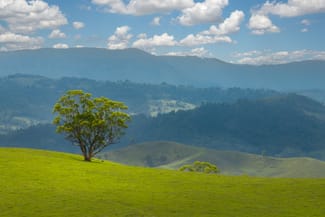 Rural / Farming commercial property sold at 900 Marsden Swamp Road Ganbenang NSW 2790