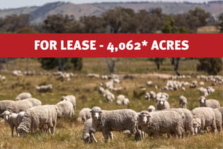 Rural / Farming commercial property sold at Bogolara Road Jugiong NSW 2726