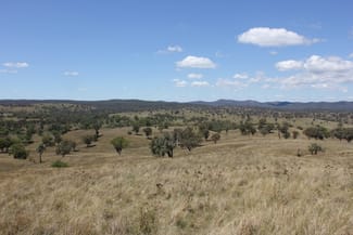 Rural / Farming commercial property sold at 'Glenview' 1291 Auburn Vale Rd Inverell NSW 2360