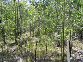 Rural / Farming commercial property sold at Gin Gin QLD 4671 Rural / Farming commercial property sold at Gin Gin QLD 4671