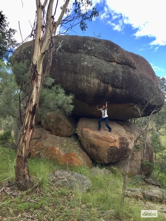 Rural / Farming commercial property sold at 1717 Old Stanthorpe Road Cherry Gully QLD 4370