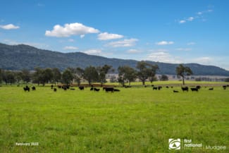 Rural / Farming commercial property sold at 7458 Bylong Valley Way Bylong NSW 2849 Rural / Farming commercial property sold at 7458 Bylong Valley Way Bylong NSW 2849