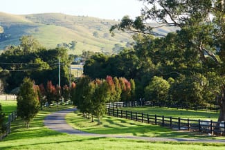 Rural / Farming commercial property sold at 564 Chichester Dam Road, Bendolba Via Dungog NSW 2420