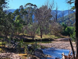 Rural / Farming commercial property sold at Lot 4 Araluen Road Araluen NSW 2622